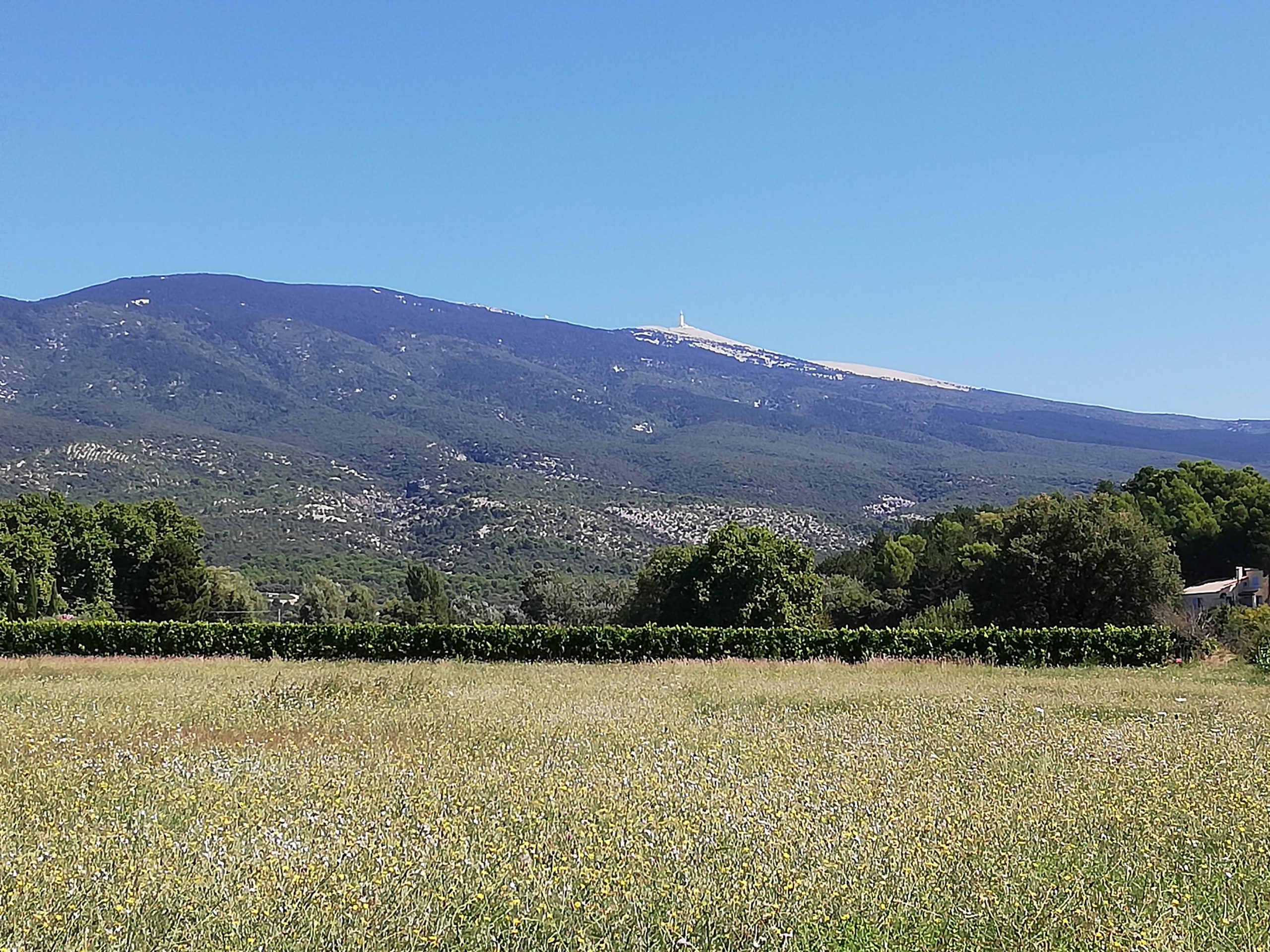 Mont Ventoux – Der Gigant der Provence